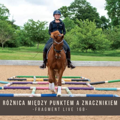 Psychologia  Trening Koni - Alfa Horse