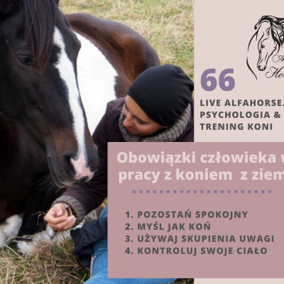 Psychologia  Trening Koni - Alfa Horse