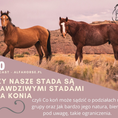 Psychologia  Trening Koni - Alfa Horse