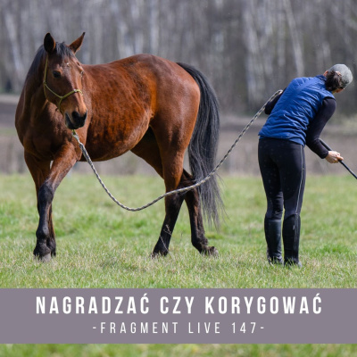Psychologia  Trening Koni - Alfa Horse