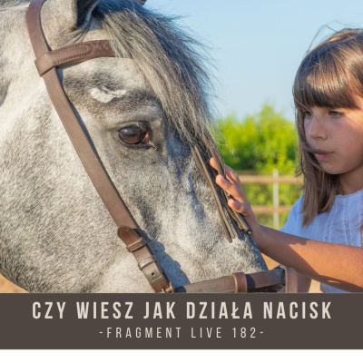 Psychologia  Trening Koni - Alfa Horse