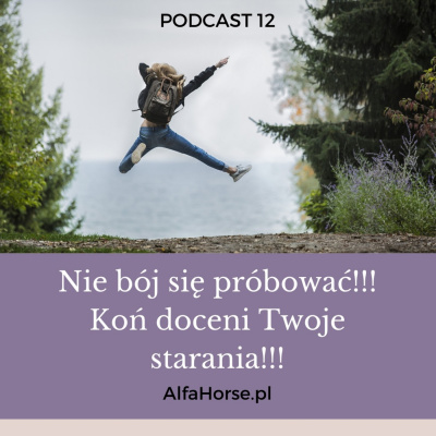 Psychologia  Trening Koni - Alfa Horse