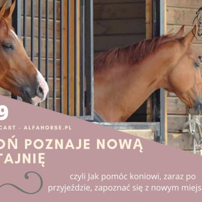 Psychologia  Trening Koni - Alfa Horse