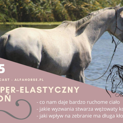 Psychologia  Trening Koni - Alfa Horse