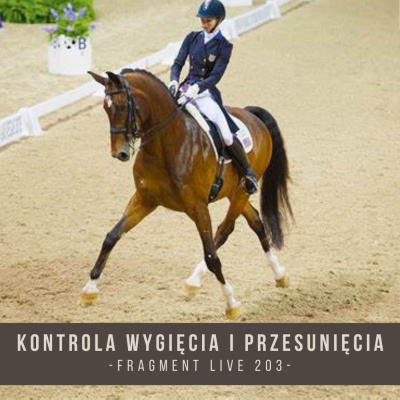 Psychologia  Trening Koni - Alfa Horse