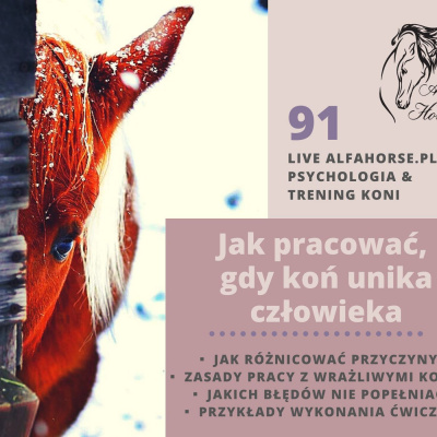 Psychologia  Trening Koni - Alfa Horse