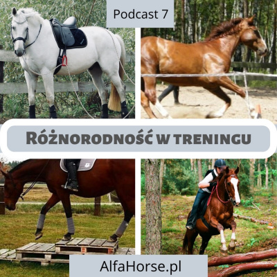 Psychologia  Trening Koni - Alfa Horse