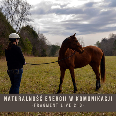 Psychologia  Trening Koni - Alfa Horse