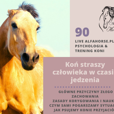 Psychologia  Trening Koni - Alfa Horse