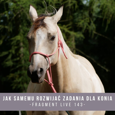 Psychologia  Trening Koni - Alfa Horse