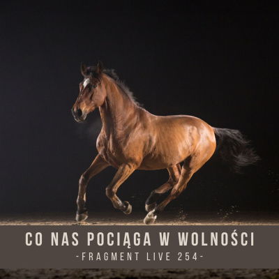 Psychologia  Trening Koni - Alfa Horse