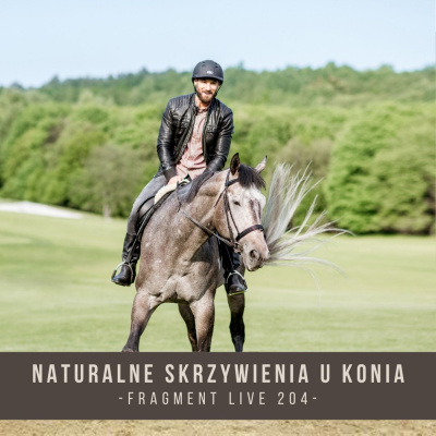 Psychologia  Trening Koni - Alfa Horse