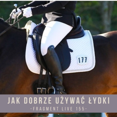 Psychologia  Trening Koni - Alfa Horse