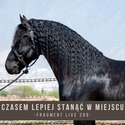 Psychologia  Trening Koni - Alfa Horse