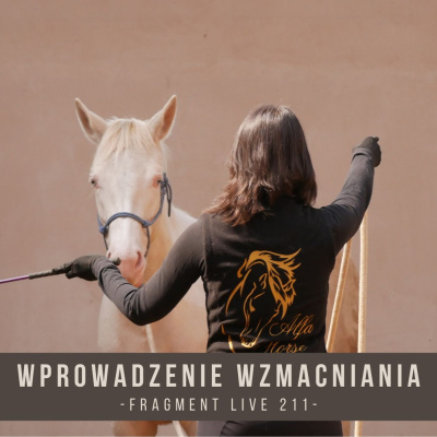 Psychologia  Trening Koni - Alfa Horse