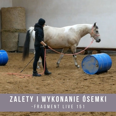 Psychologia  Trening Koni - Alfa Horse