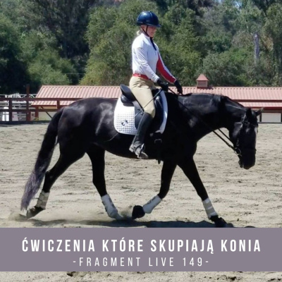 Psychologia  Trening Koni - Alfa Horse