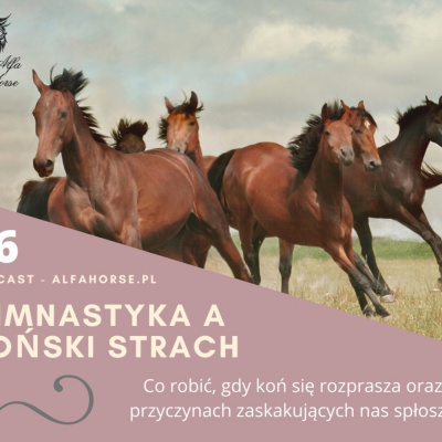 Psychologia  Trening Koni - Alfa Horse