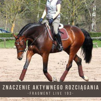 Psychologia  Trening Koni - Alfa Horse