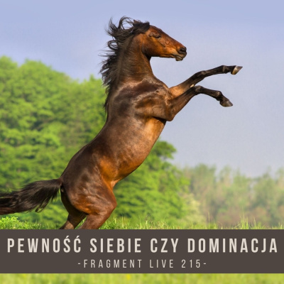 Psychologia  Trening Koni - Alfa Horse