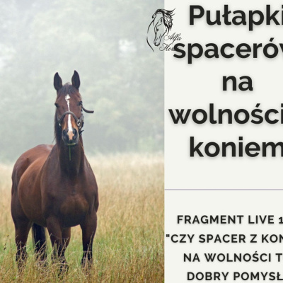 Psychologia  Trening Koni - Alfa Horse