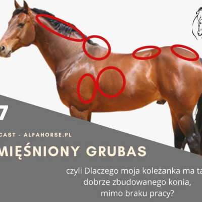 Psychologia  Trening Koni - Alfa Horse