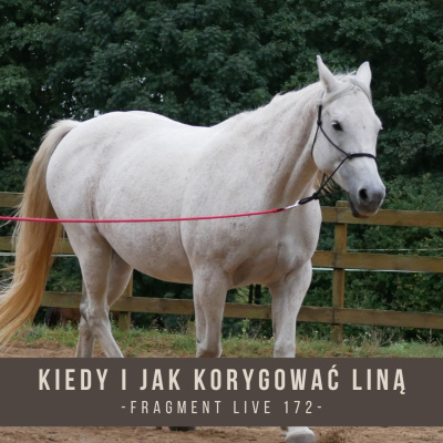 Psychologia  Trening Koni - Alfa Horse