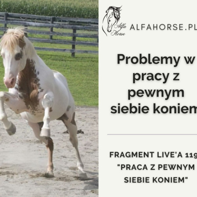 Psychologia  Trening Koni - Alfa Horse