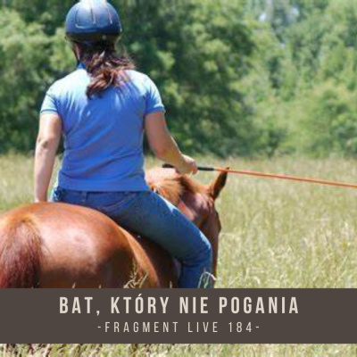 Psychologia  Trening Koni - Alfa Horse