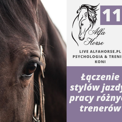 Psychologia  Trening Koni - Alfa Horse
