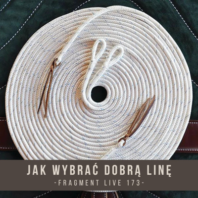 Psychologia  Trening Koni - Alfa Horse