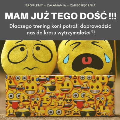 Psychologia  Trening Koni - Alfa Horse