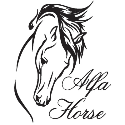 Psychologia  Trening Koni - Alfa Horse