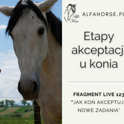 Psychologia  Trening Koni - Alfa Horse