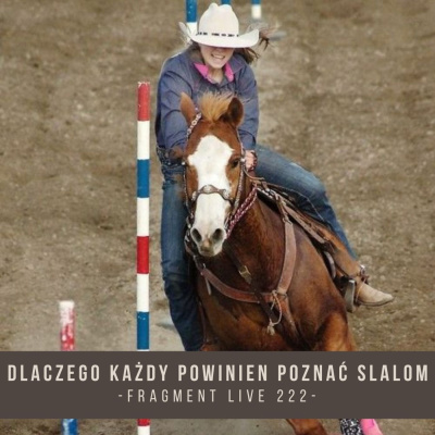 Psychologia  Trening Koni - Alfa Horse