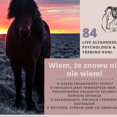Psychologia  Trening Koni - Alfa Horse