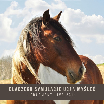 Psychologia  Trening Koni - Alfa Horse