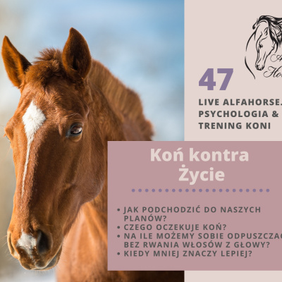 Psychologia  Trening Koni - Alfa Horse