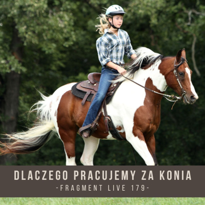 Psychologia  Trening Koni - Alfa Horse