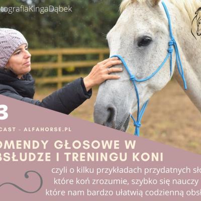 Psychologia  Trening Koni - Alfa Horse
