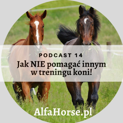 Psychologia  Trening Koni - Alfa Horse