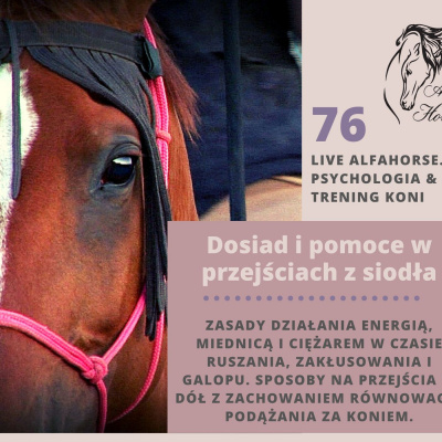 Psychologia  Trening Koni - Alfa Horse