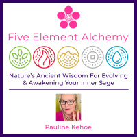 2.14 Complimentary Alchemical Lightning Transmission ~ March 19th