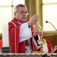 Capellán del Hogar de Cristo: Ver al obispo Barros en presencia del Papa me produce un gran dolor