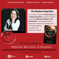 The Shadow Integration