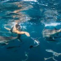 220. Podcast Actitud Ganadora ft. Pablo Fernandez, el hombre record. 