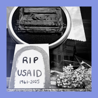 Aid pro quo: Trump weaponises foreign help 