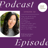 What to Expect on Your Surrogacy Journey