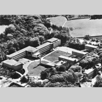 Een vreemde eend tussen de kippen