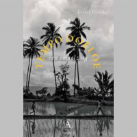 Tempo Doeloe, een knellende omhelzing